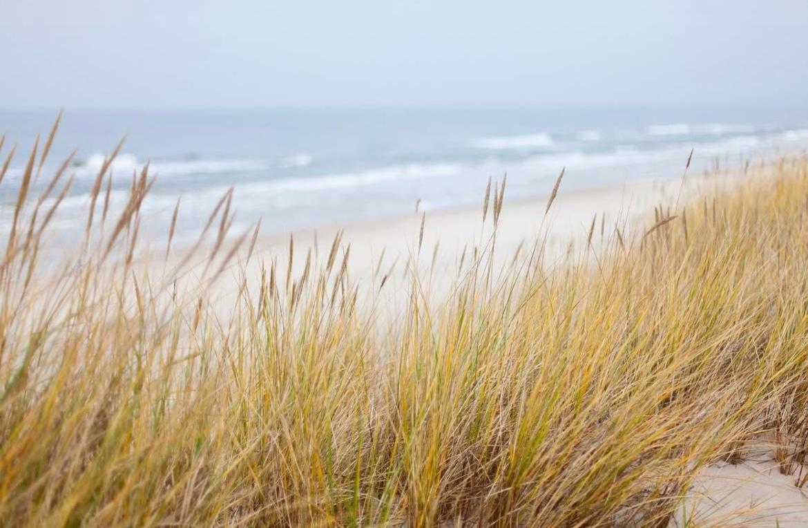 Oase An Der Ostsee Mit 2 Schlafzimmern Heiligenhafen Buitenkant foto